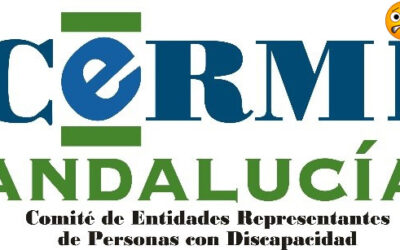 CERMI Andalucía ve con preocupación la sostenibilidad de las asociaciones de personas con discapacidad